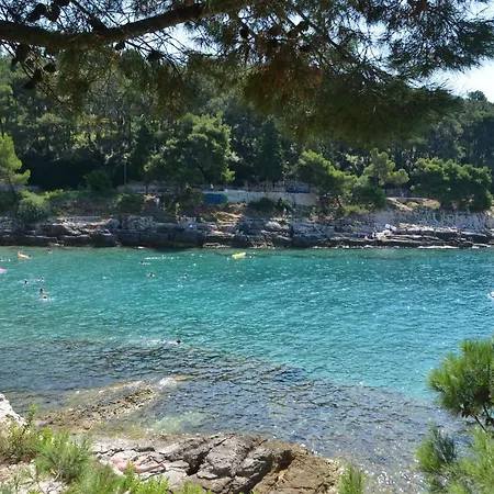 Golubic アパート